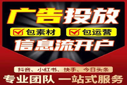 SEM代运营经典案例解析与启示